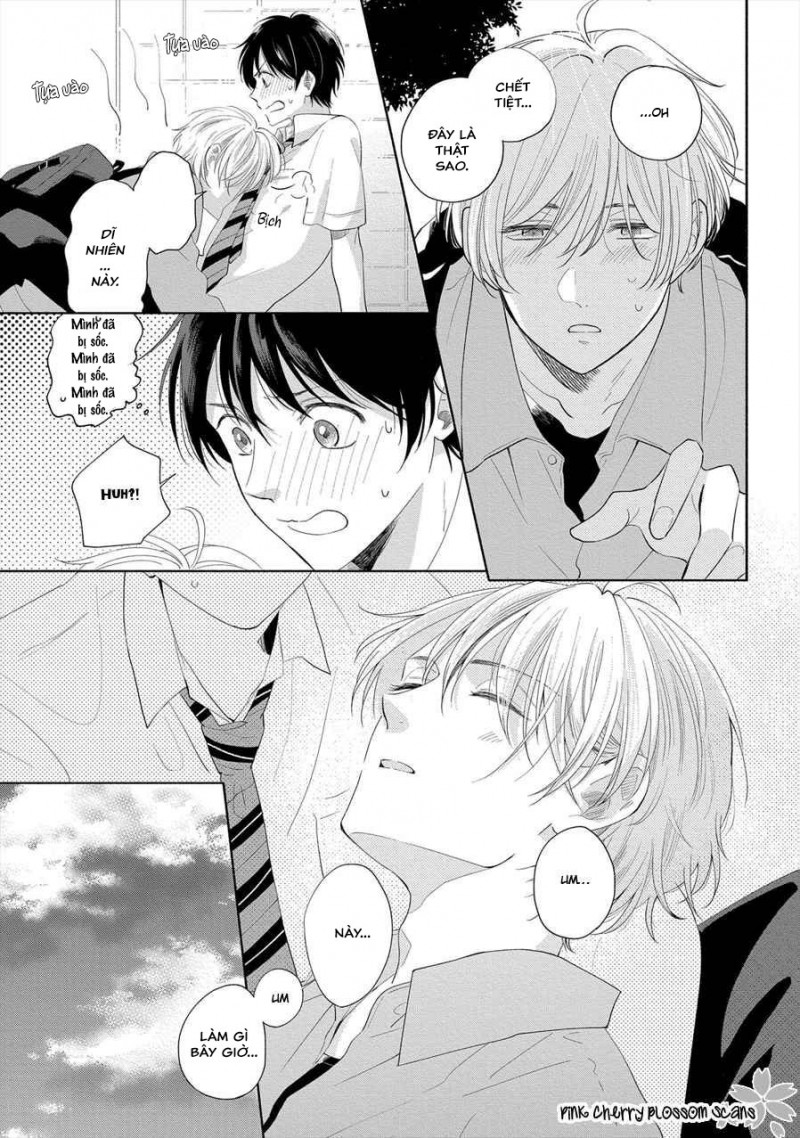 Đọc truyện Mùa Hoa Anh Đào - Chapter 1