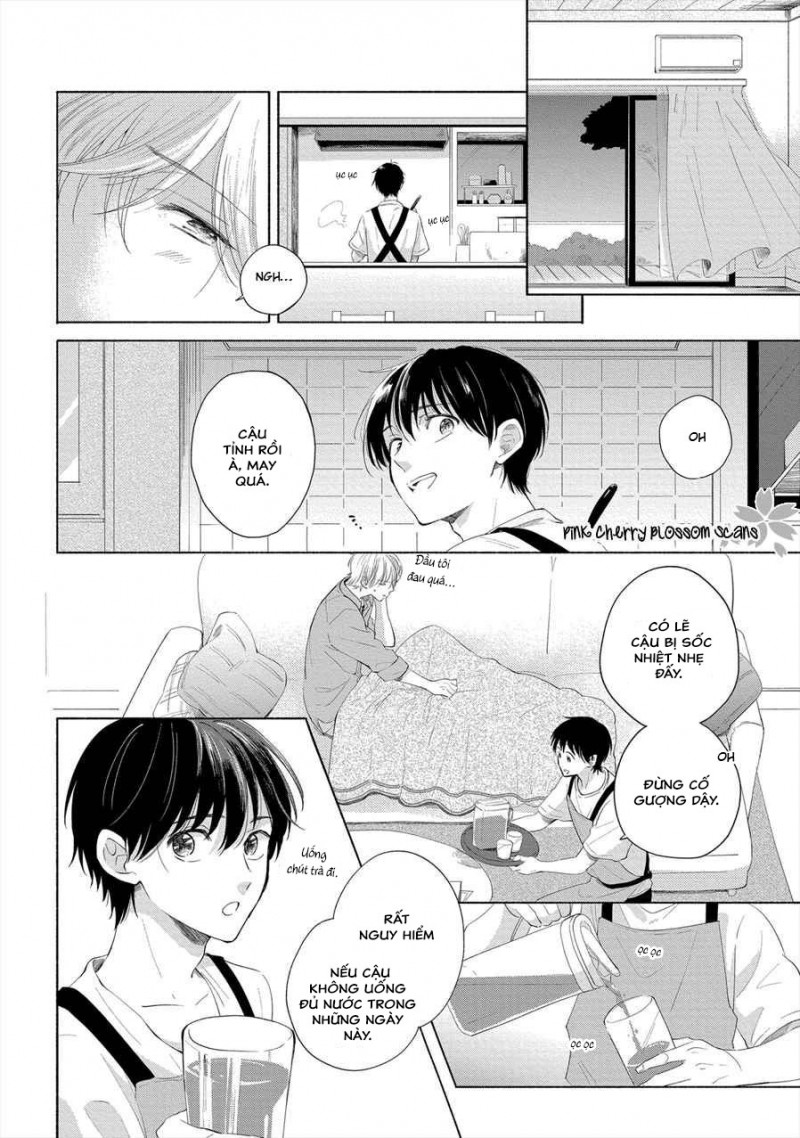 Đọc truyện Mùa Hoa Anh Đào - Chapter 1