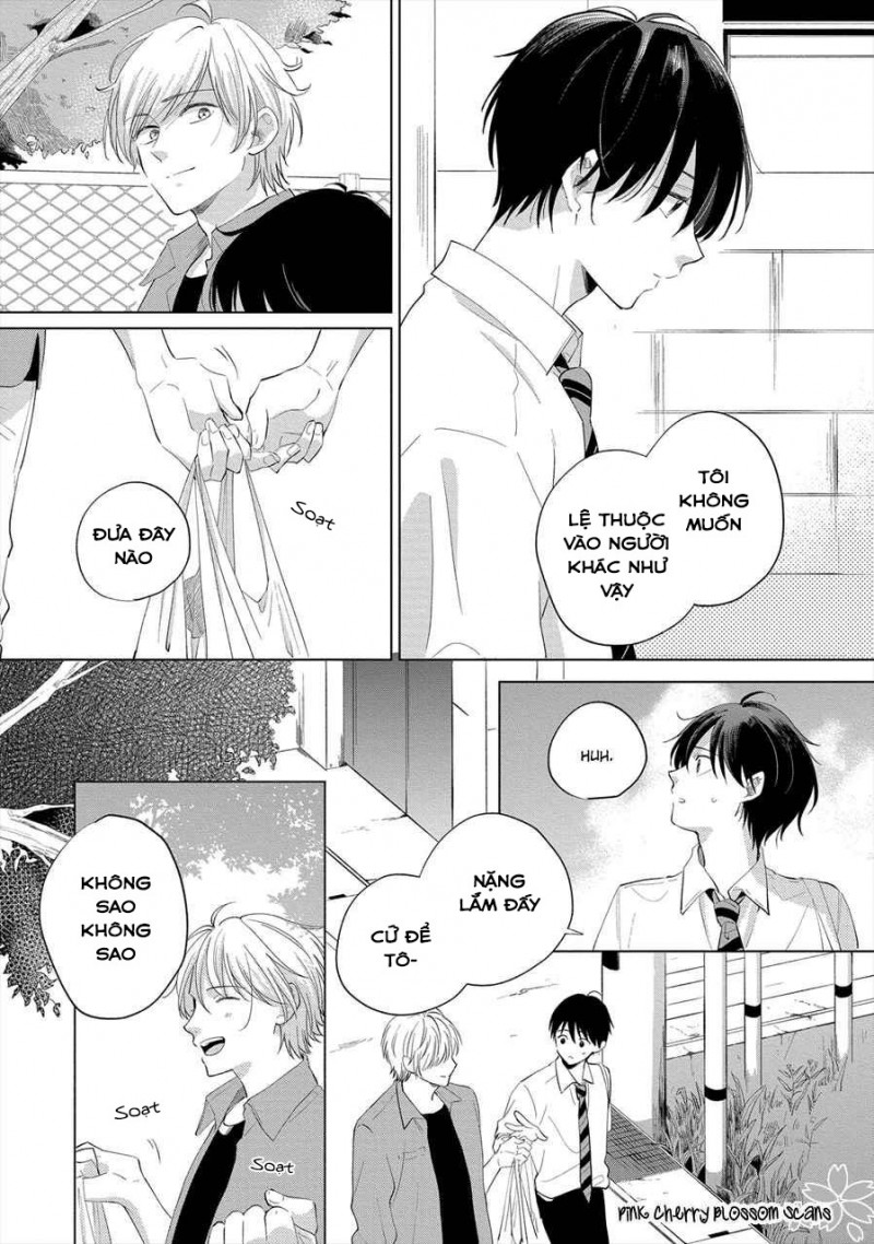 Đọc truyện Mùa Hoa Anh Đào - Chapter 2