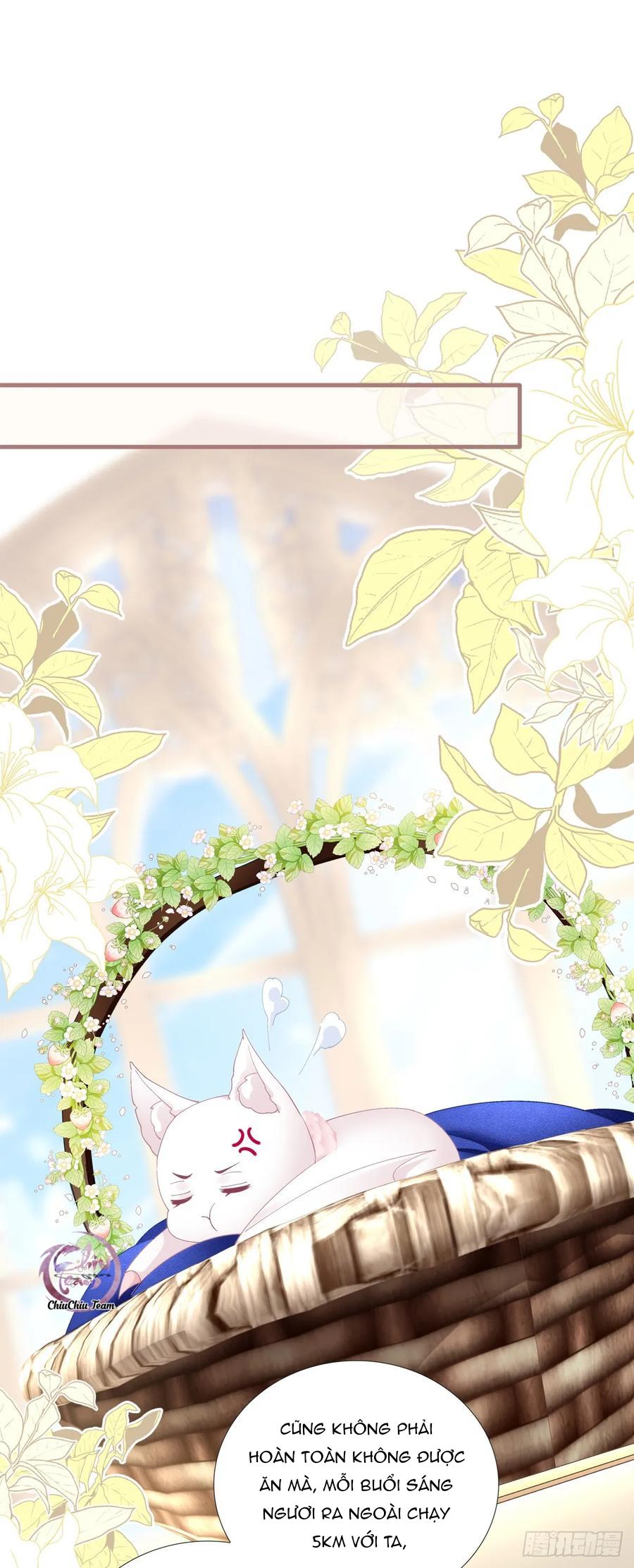 Đọc truyện Thánh Tâm không dễ chọc - Chapter 73