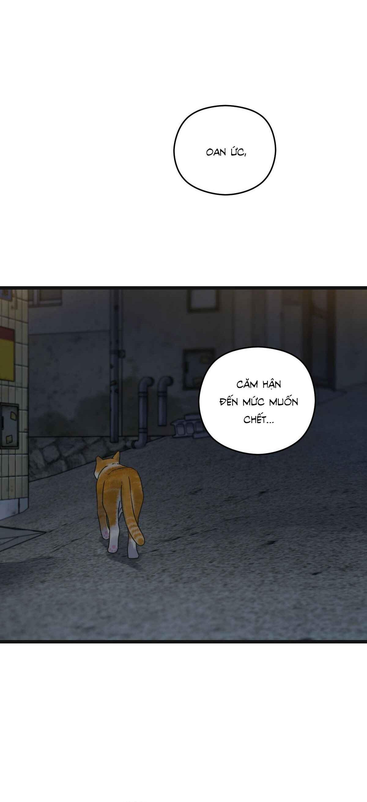 Đọc truyện TRÙNG PHÙNG - Chapter 49