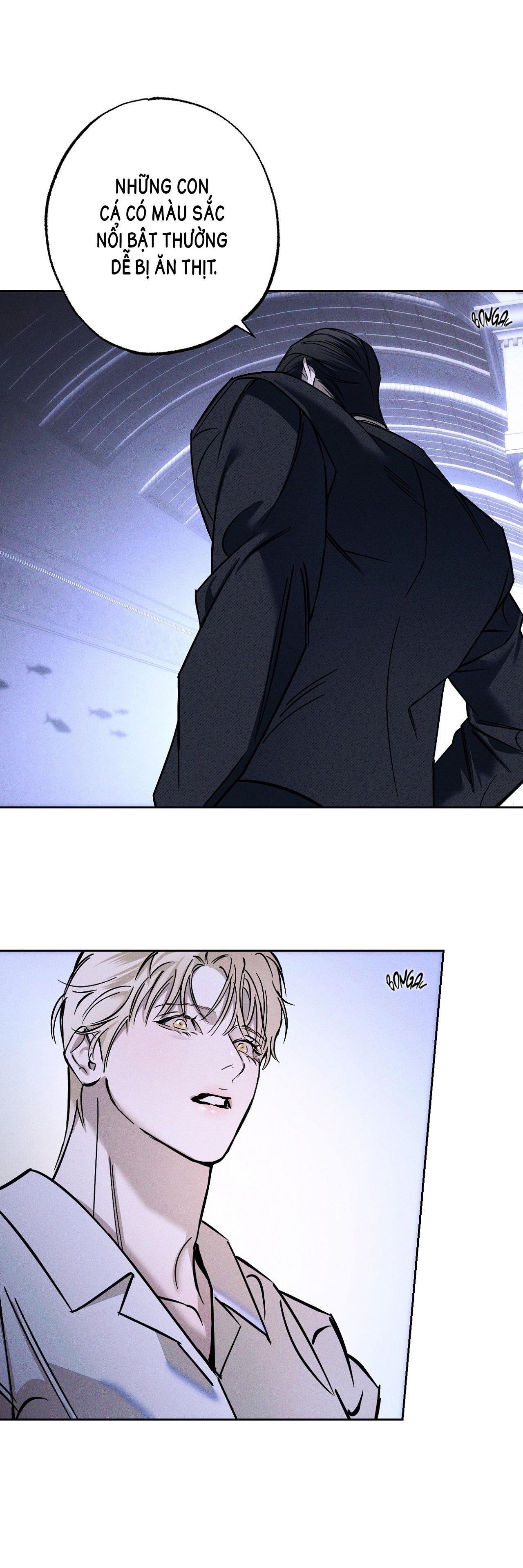 Đọc truyện BỂ CÁ - Chapter 1