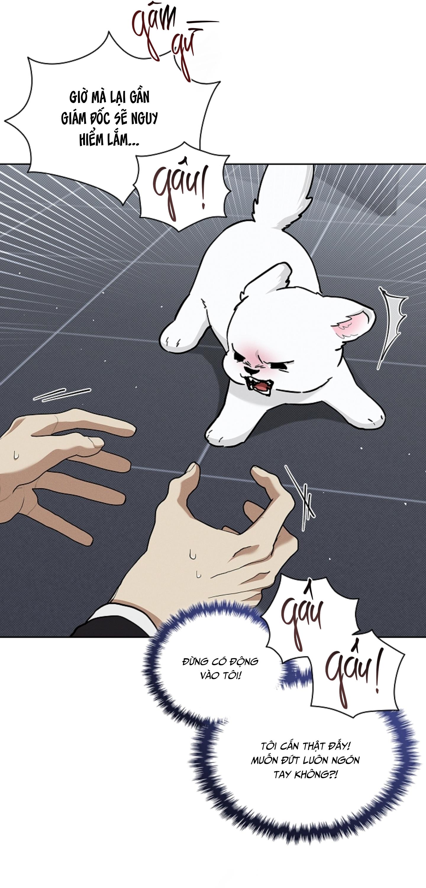 Đọc truyện ĐỪNG CHẠM VÀO CÚN CON CỦA TÔI - Chapter 40
