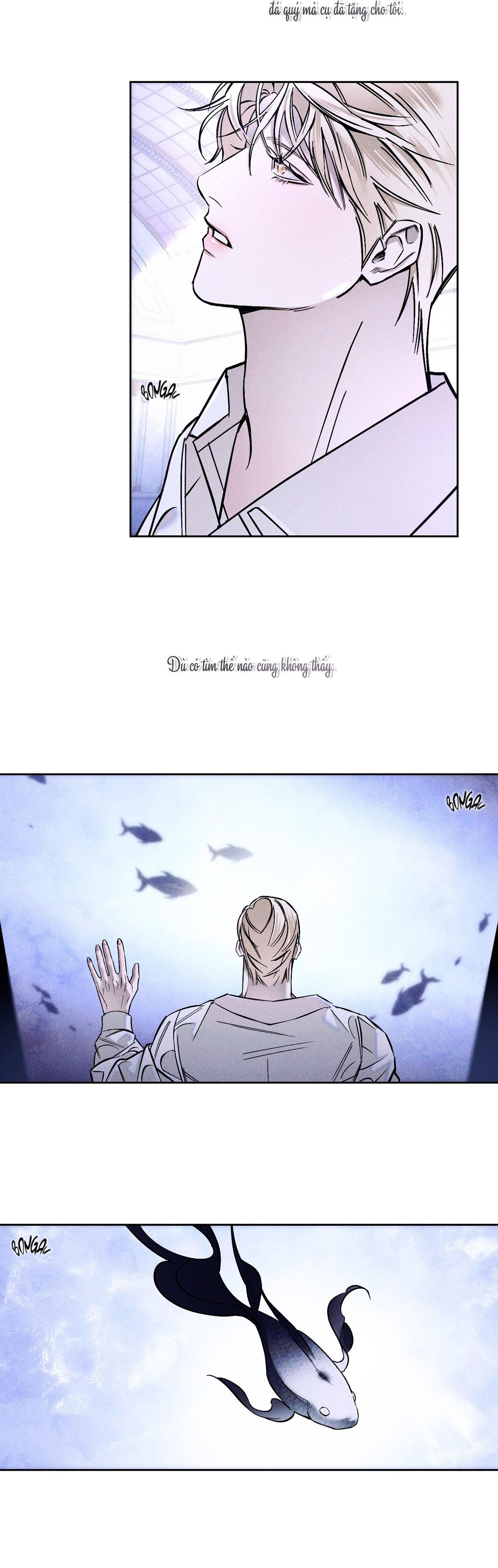 Đọc truyện BỂ CÁ - Chapter 1