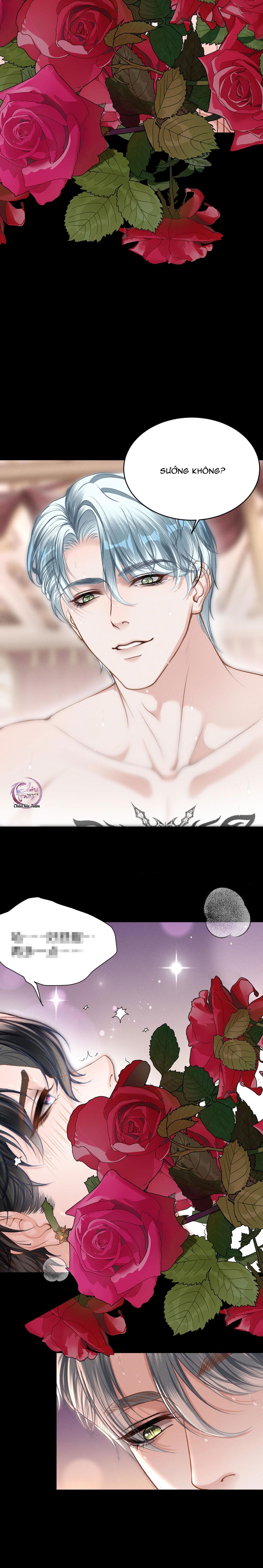 Đọc truyện Lông Vũ Ngược Sáng - Chapter 23