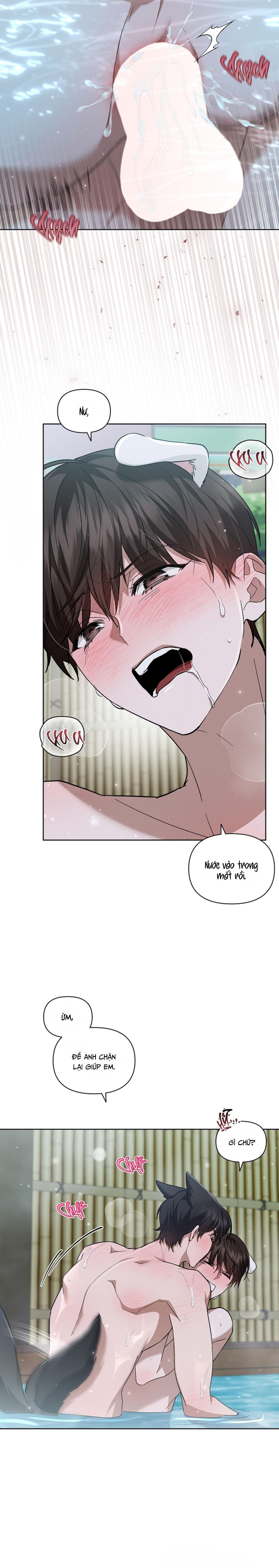 Đọc truyện ĐỪNG CHẠM VÀO CÚN CON CỦA TÔI - Chapter 35