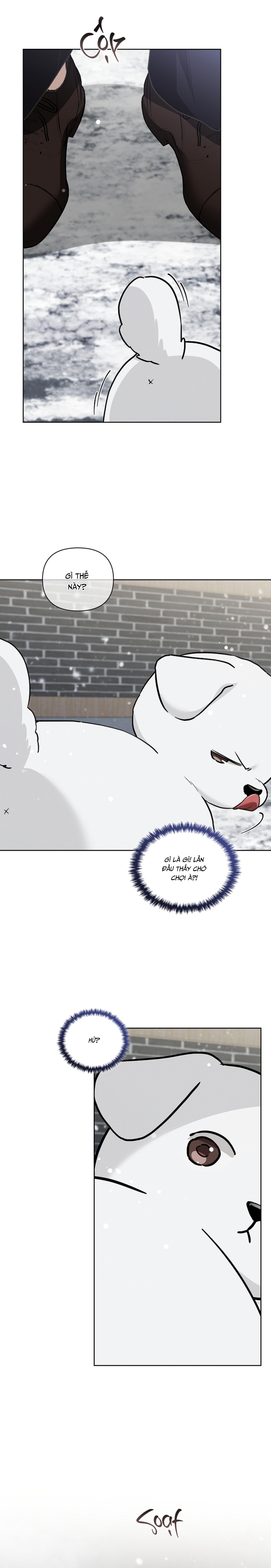 Đọc truyện ĐỪNG CHẠM VÀO CÚN CON CỦA TÔI - Chapter 35