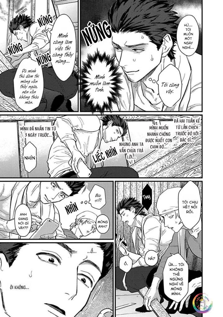 Đọc truyện (END) Bác Sĩ, Hãy Khám Cho Tôi - Chapter 3