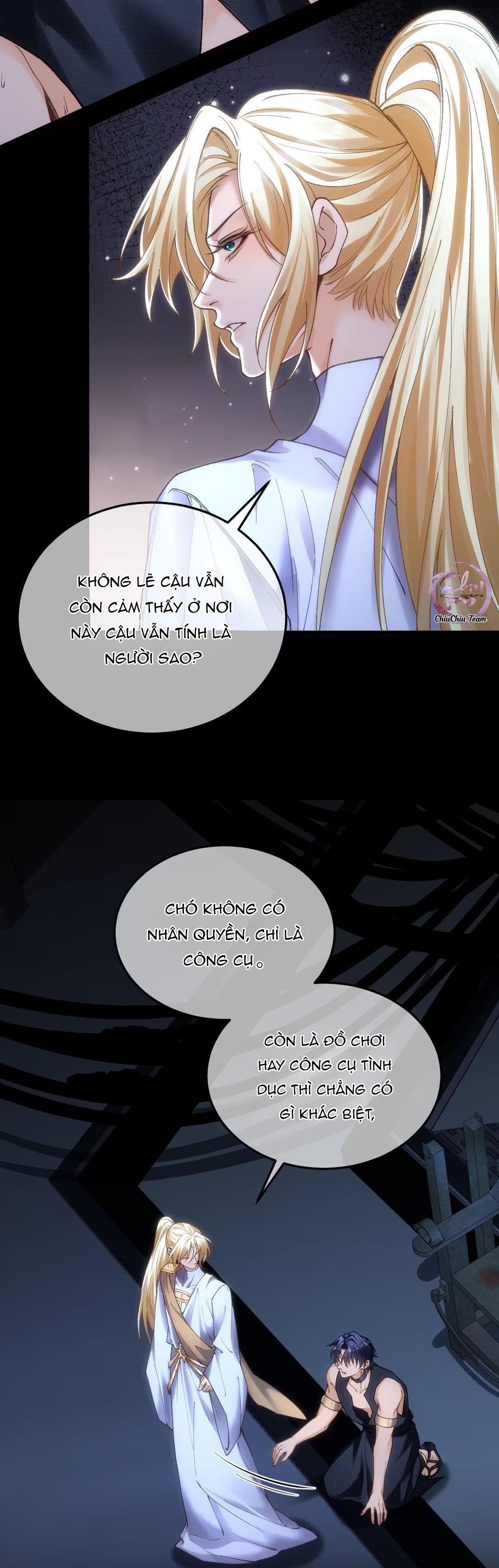 Đọc truyện Thánh Tử Điện Hạ Bị Gán Mác Bừa Bãi - Chapter 11