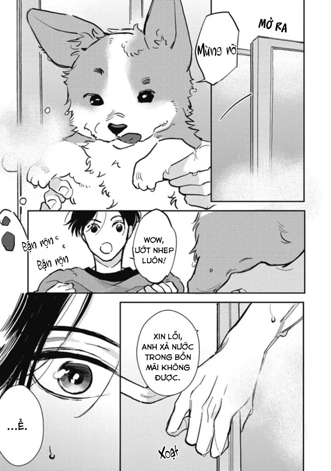 Đọc truyện (END) Neighbor Sugar Boy - Chapter 3