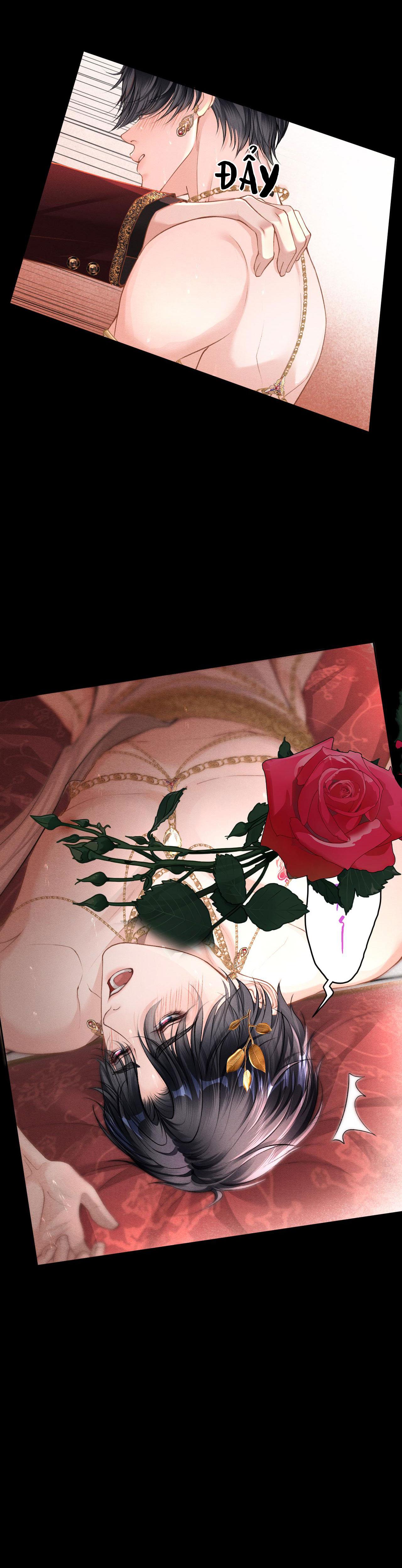 Đọc truyện Lông Vũ Ngược Sáng - Chapter 23