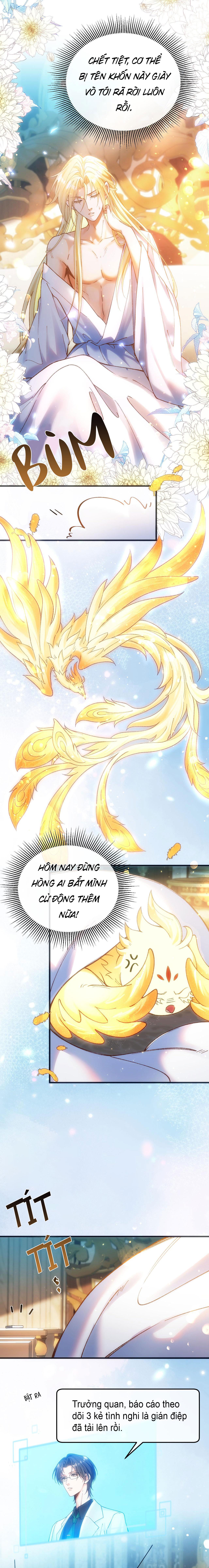 Đọc truyện Thánh Tử Điện Hạ Bị Gán Mác Bừa Bãi - Chapter 12