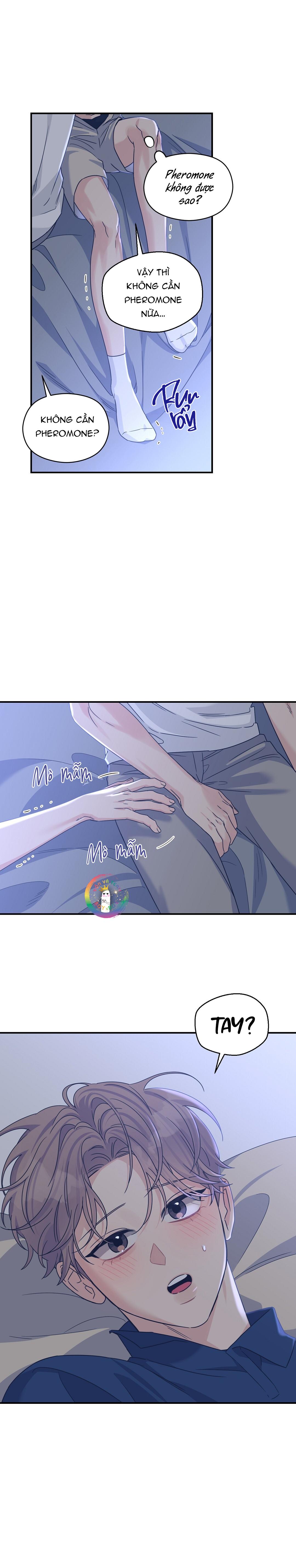 Đọc truyện ✿ Vết Thương Alpha ✿ - Chapter 20