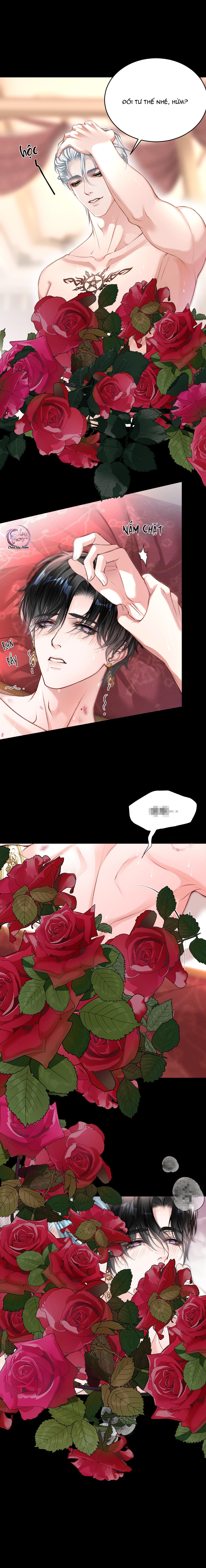 Đọc truyện Lông Vũ Ngược Sáng - Chapter 23