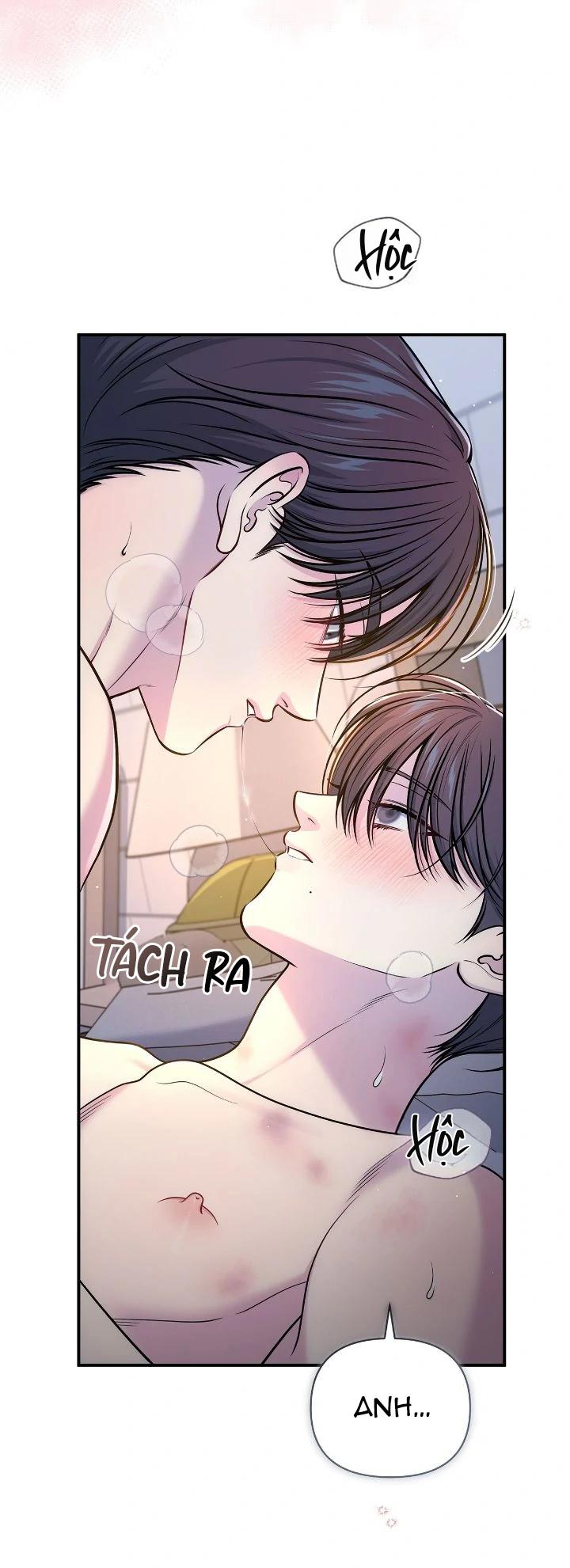 Đọc truyện (END) Tình Yêu Bí Mật - Chapter 65