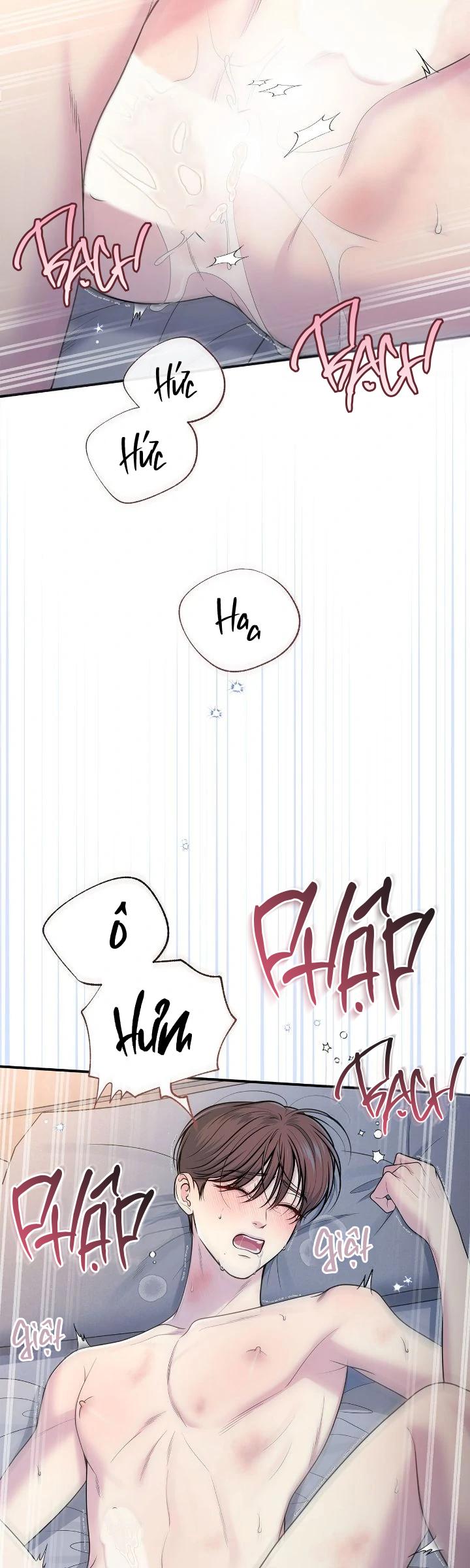 Đọc truyện (END) Tình Yêu Bí Mật - Chapter 65