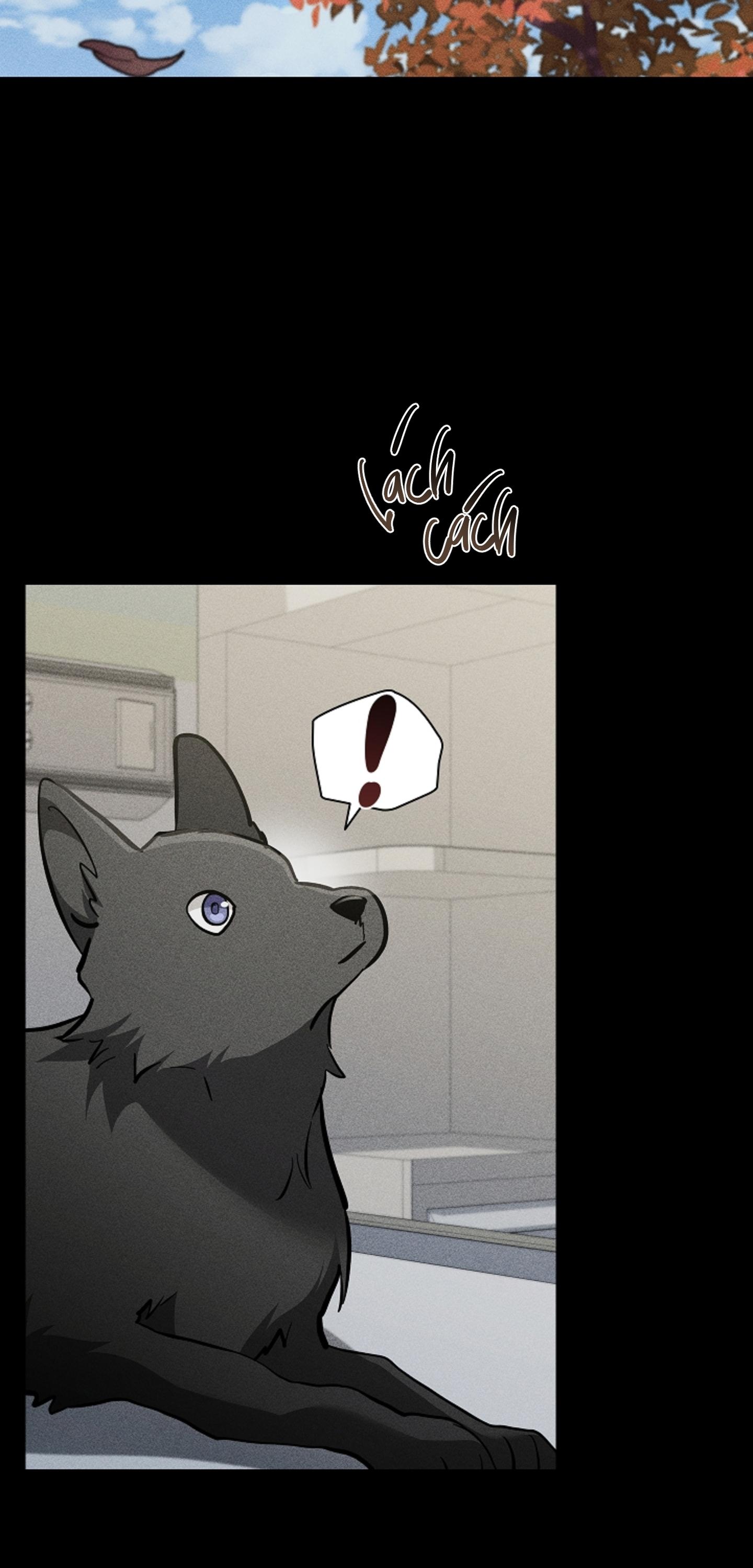 Đọc truyện ĐỪNG CHẠM VÀO CÚN CON CỦA TÔI - Chapter 38