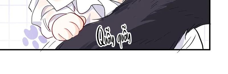 Đọc truyện Bản Tình Ca Nụ Hôn Ngục Tù - Chapter 35