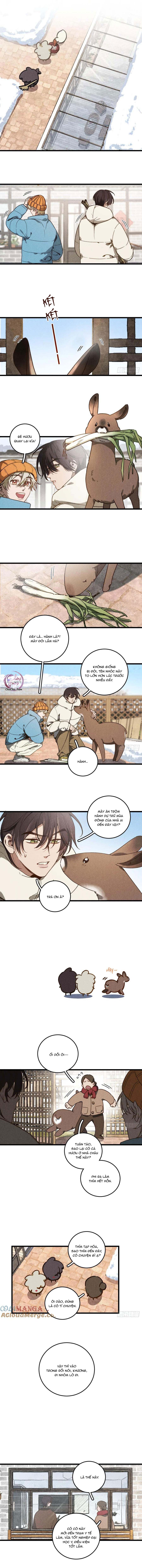 Đọc truyện Ra Ruộng Ngô Với Anh Á, Còn Lâu! - Chapter 63