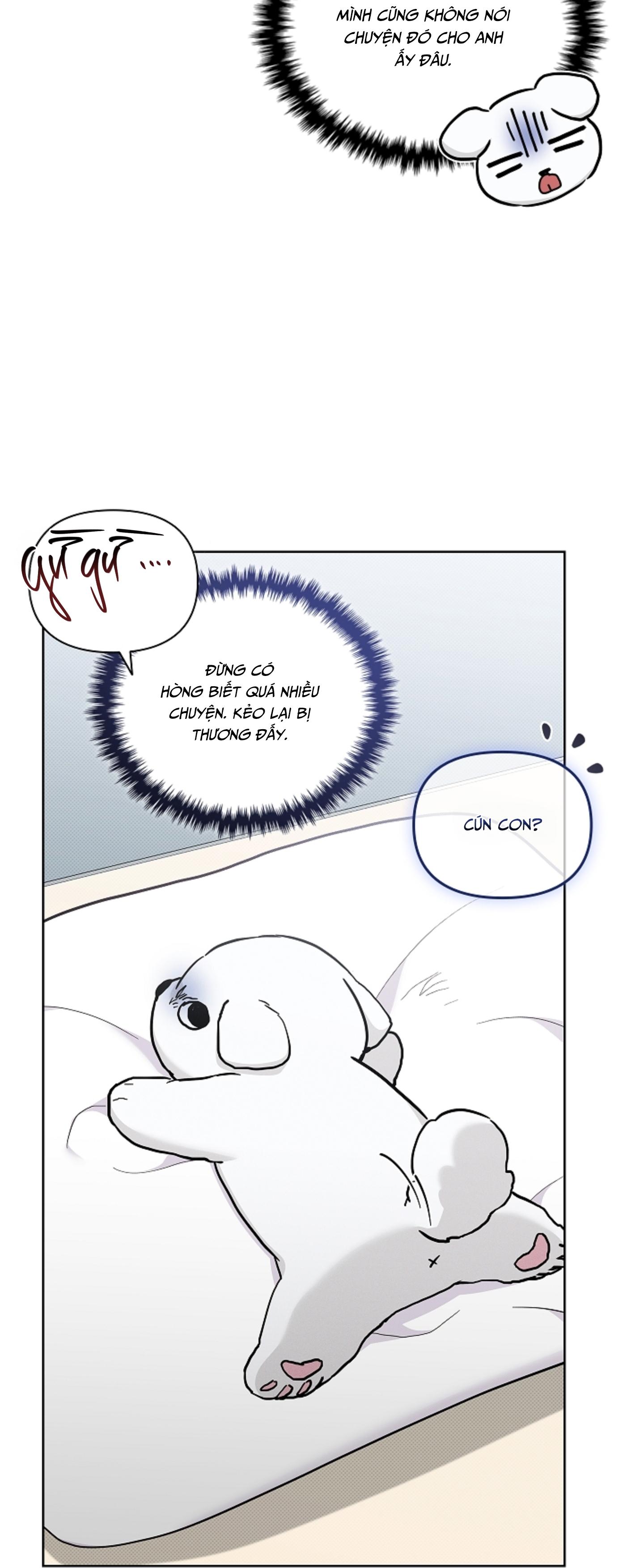 Đọc truyện ĐỪNG CHẠM VÀO CÚN CON CỦA TÔI - Chapter 43