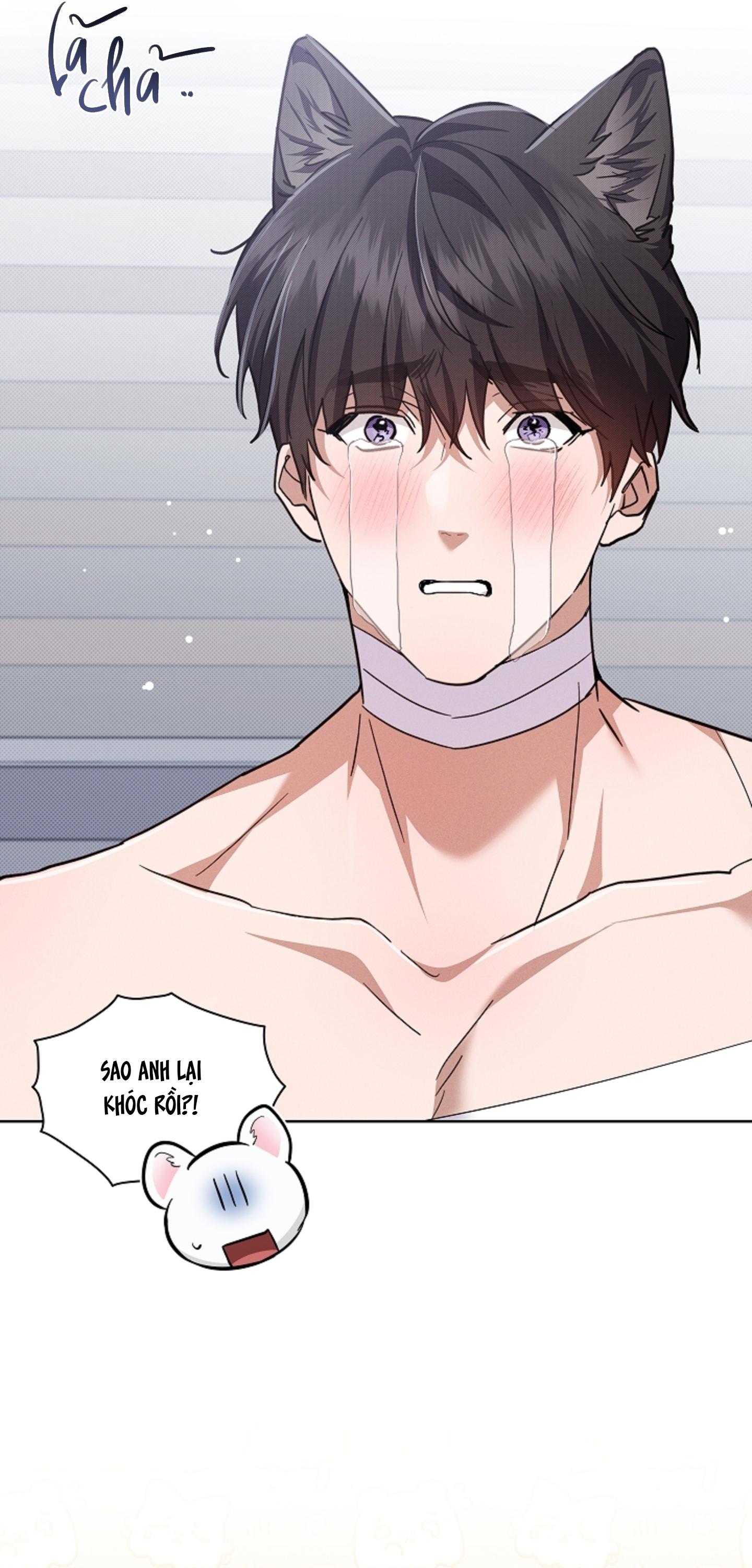 Đọc truyện ĐỪNG CHẠM VÀO CÚN CON CỦA TÔI - Chapter 43