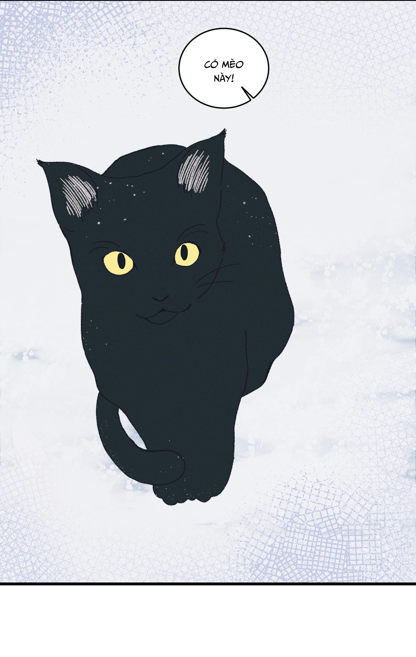 Đọc truyện COTTAGE GARDEN - Chapter 11